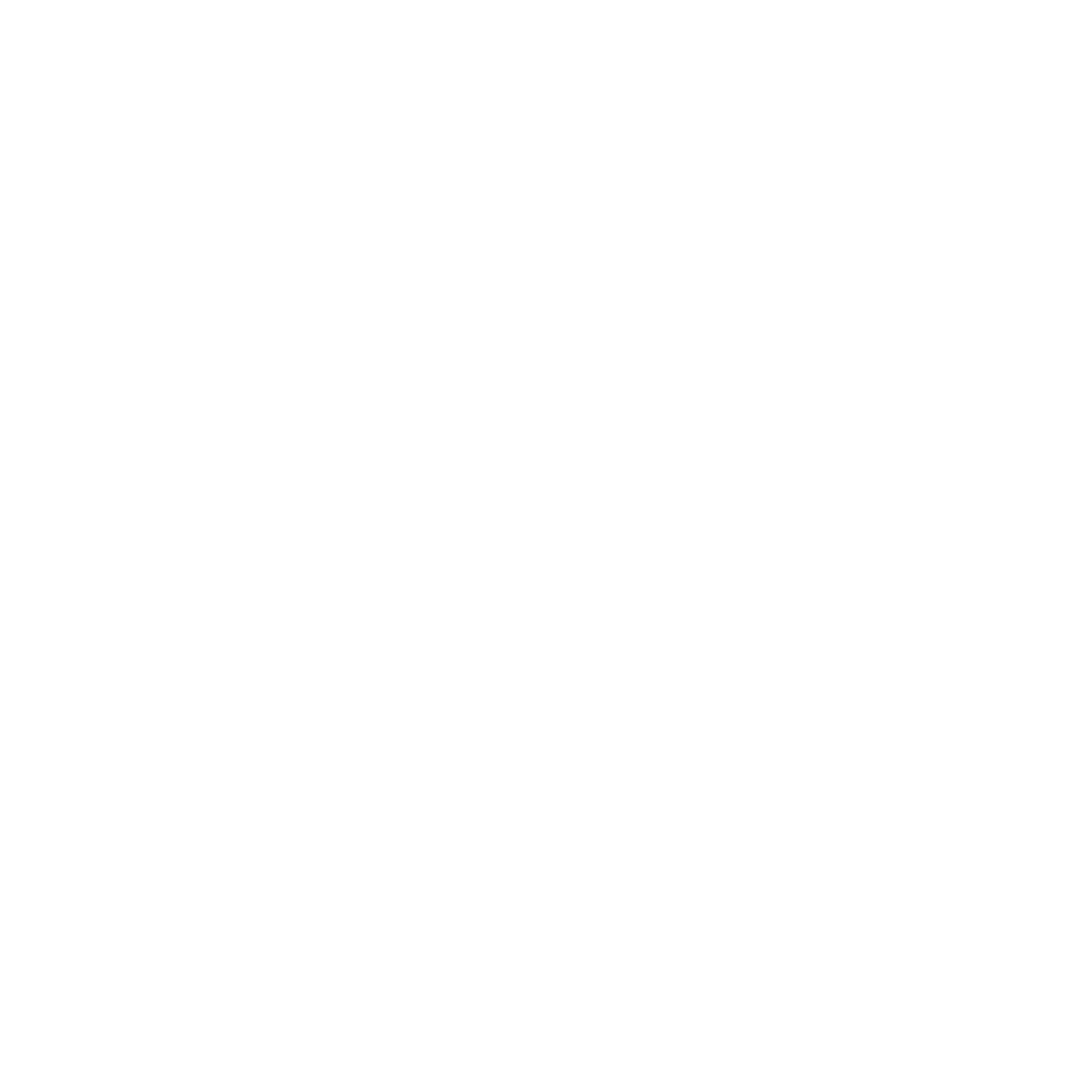 Logo Footer